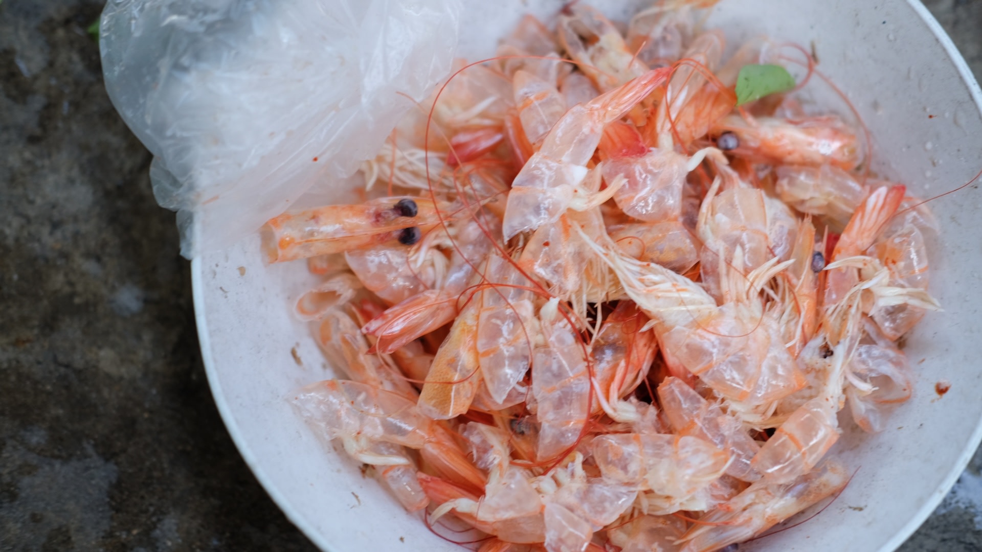 Researchers make mind-blowing breakthrough using shrimp shells: 'Significantly improved the shelf life'