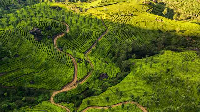 Beyond logistics, the court urged officials to roll out awareness campaigns.