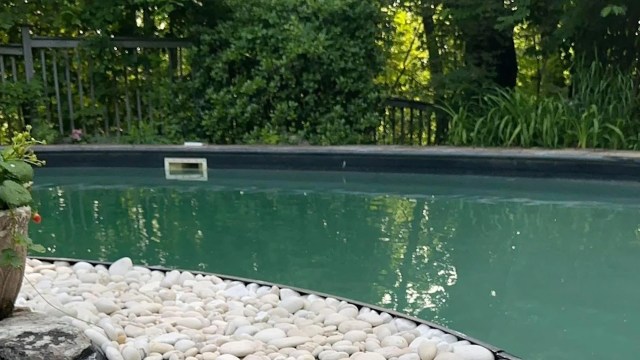 "Contact your local Department of Natural Resources and get their advice."