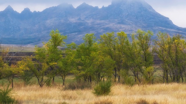 "This is important evidence that the measures we've taken to protect nature are working."