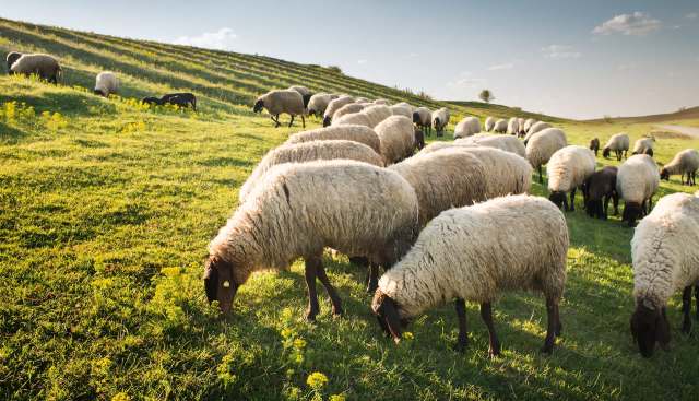 More farmers and energy companies might turn to this method.