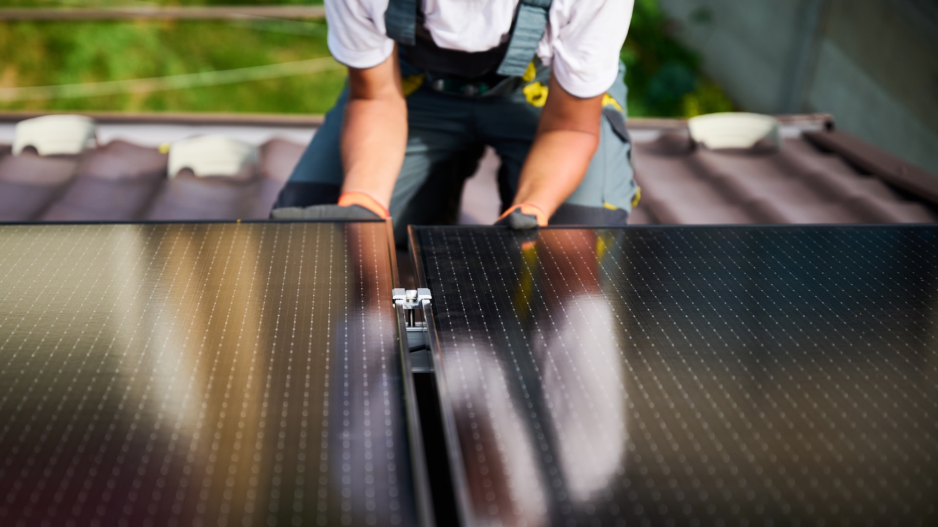 Solar energy experts warn of impending industry fallout after officials threaten to wipe out lucrative incentives: '[This] will literally kill the industry'