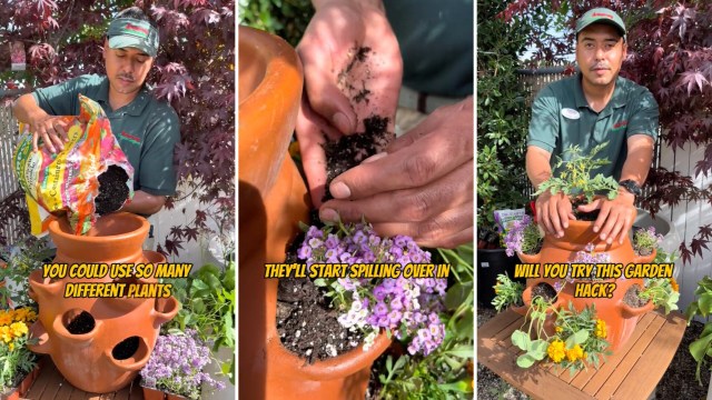 "That's going to be so pretty."