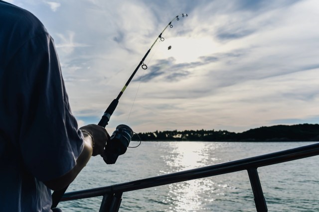 Fishing bans offer many benefits.