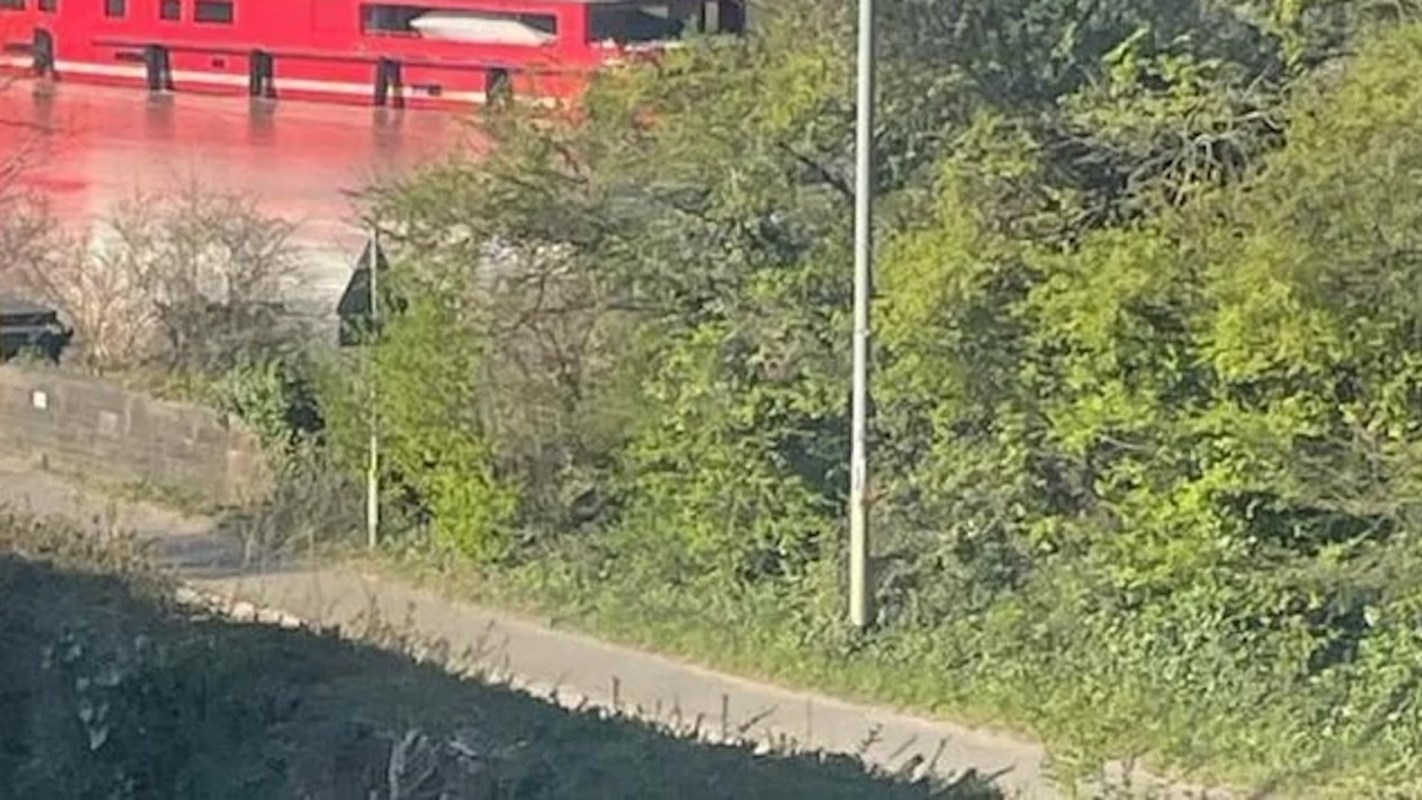 "And that's not even the worst thing about it."