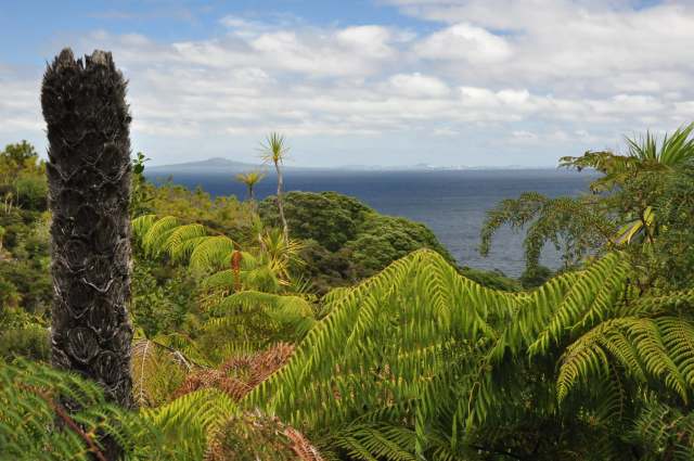 "They had a little bit of a scrap."