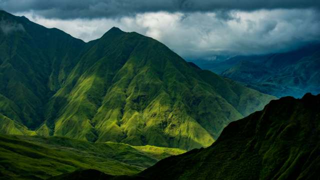 The technology allows for long-term observation without disruption to the habitat or animal behavior in the presence of humans.