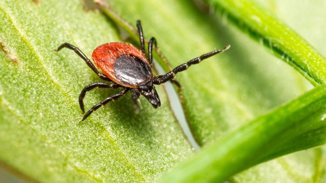 "Worse than the previous years."