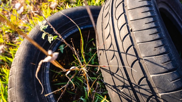 Officials have plans for the material once it is removed.