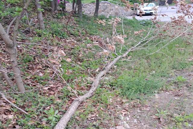 "I don't even understand."