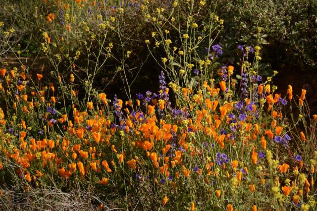 Similar initiatives are making it easier to choose upgrades that save money now and protect resources long-term.