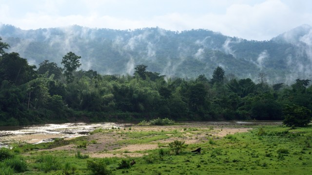 "Must preserve the area."