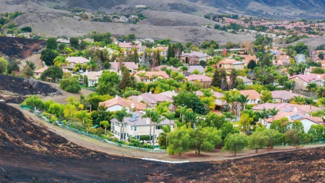 Experts worry that the trend could be disastrous.