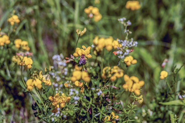 Commenters were big fans.