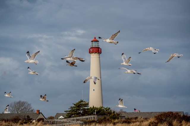 "There's nowhere near enough volunteers to cope with what's coming."