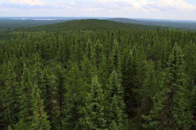 "Understanding habitats is essential for improving species conservation and management."