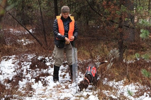 "When the dogs see the vest come out, they are so excited."