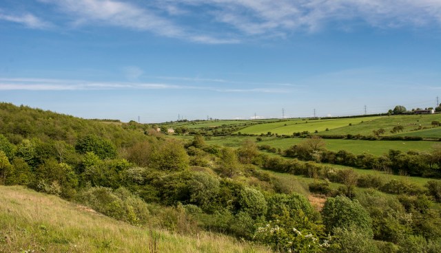 "Do not disturb or provoke a nest under any circumstances."