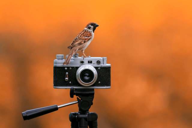 "This new window into the secret lives of animals is poised to transform the way we study behavior."