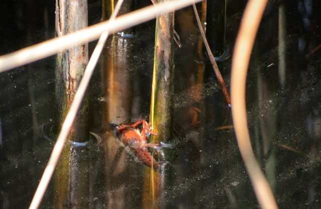 "You're actually helping the environment."
