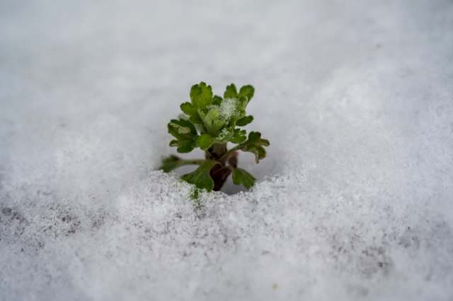 There could be ripple effects.