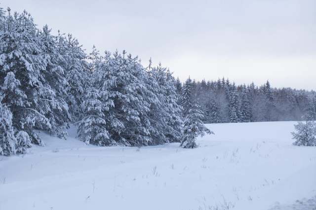 The condition of the polar vortex influences everyday weather around the globe.