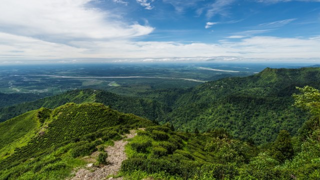 "Future research should focus on understanding the movement ecology and connectivity."