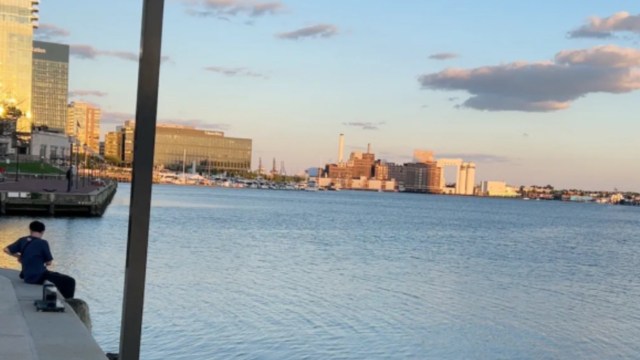 "The contaminated mud, when it gets stirred up again it can become toxic to wildlife."