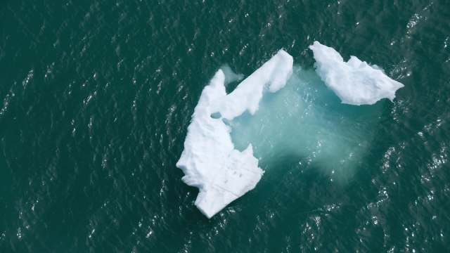 The study provides a foundation for further research.