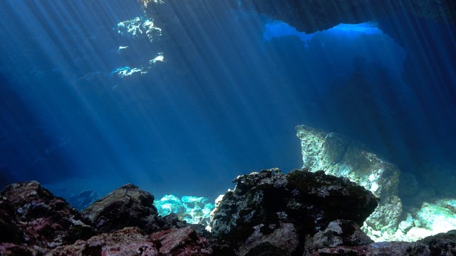 "They were kind of blown away."