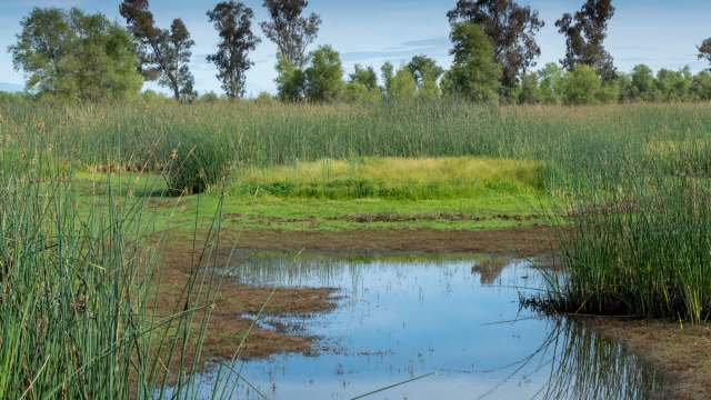 "Maybe the biggest step of all."