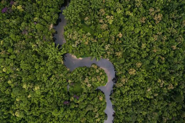 "This is an irresponsible move."