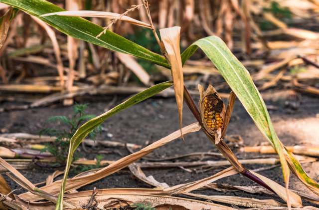 Efforts to support farmers are growing.