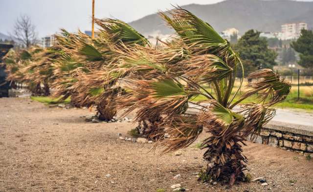 Scientists have developed new technology to aid in natural disaster preparation.