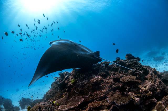 "There is something wrong in all of this."