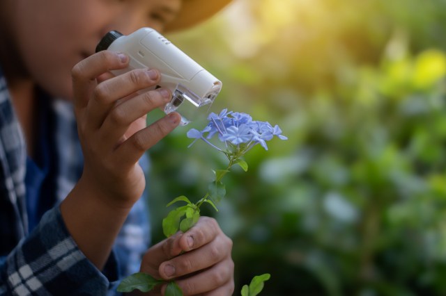 "These kids aren't just learning, they're doing."