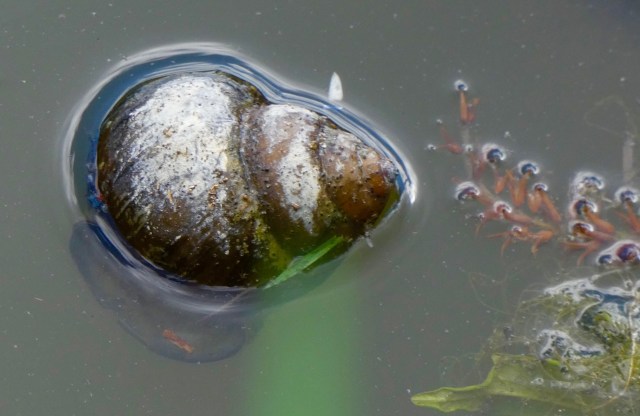 "It would be hard to count them all."