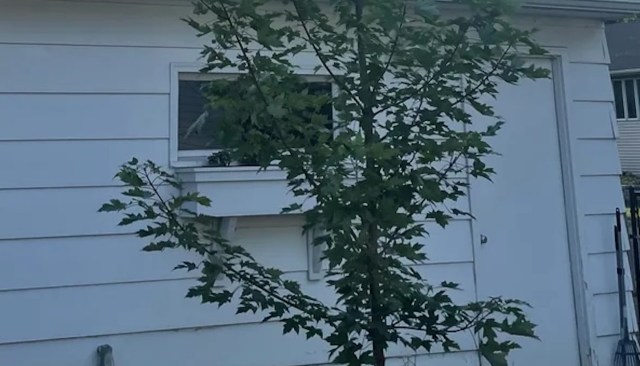 A few commenters brought up the property law term "aerial trespass."