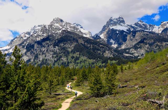 "Why would someone think this was a good idea?"