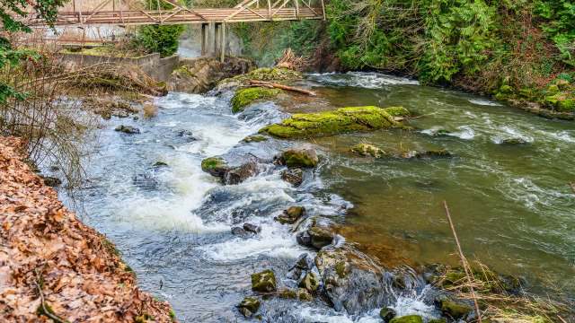 "Degraded local water quality."