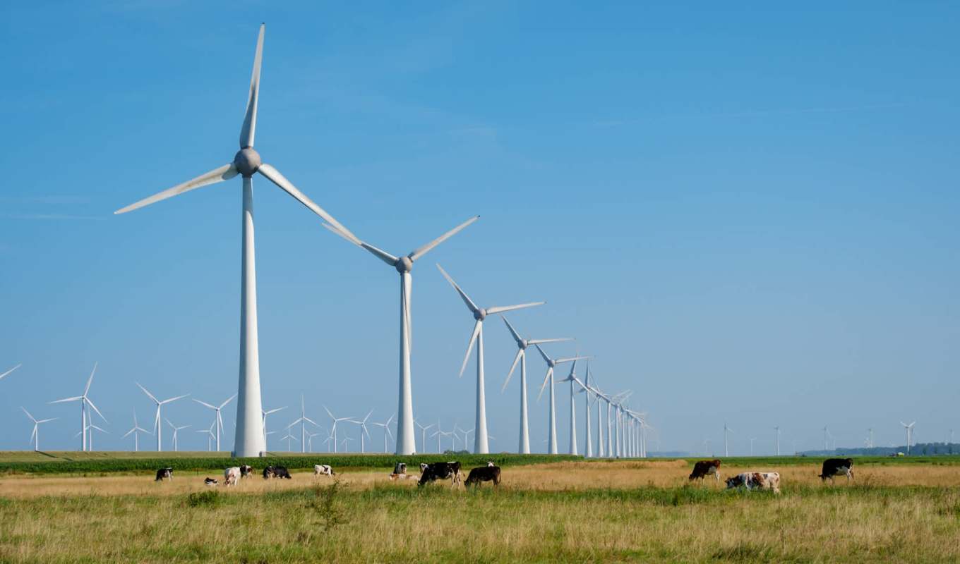 The industry's long-term momentum remains promising and profitable.