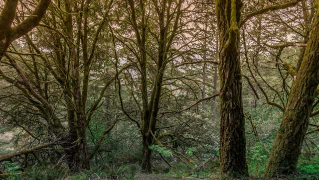 "Kill it wherever you can."