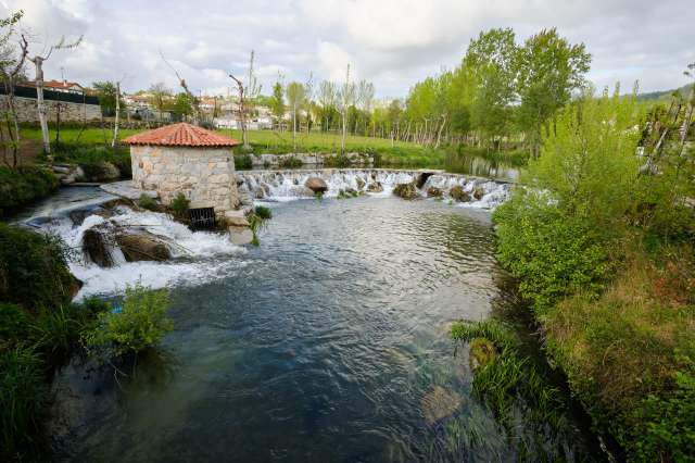 "It's now up to us to ensure that this return is well received and protected."