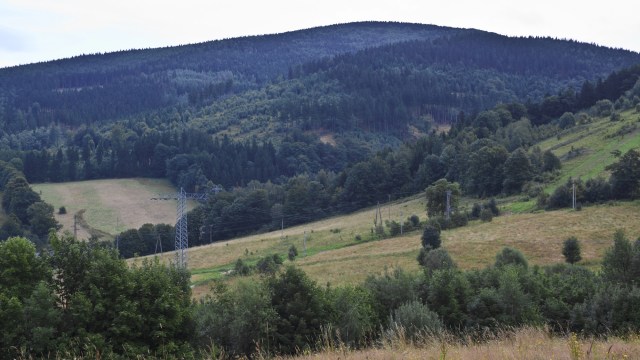 The unusual visitor created a stir among locals.