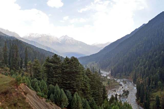 Villagers in the area had recently reported sightings.