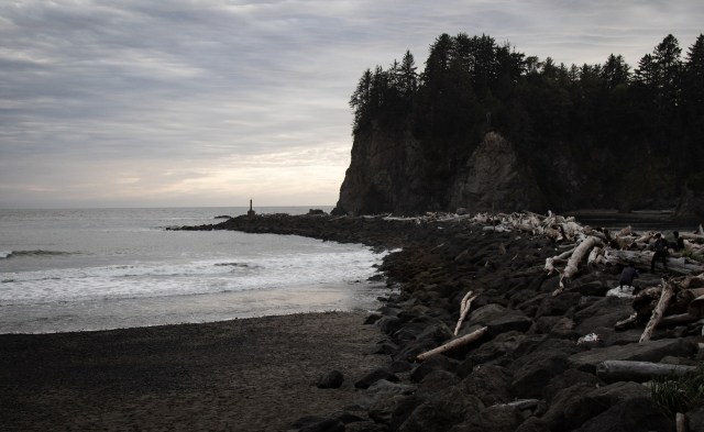 You can help by learning to identify them correctly.