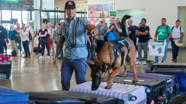 "It's a strategic alliance."