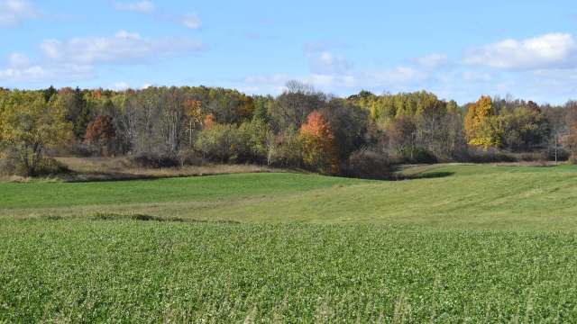 "They are just able to flourish."