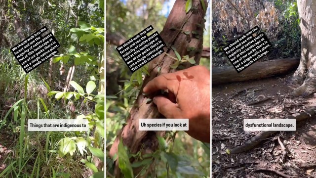 "This is a whole area here."