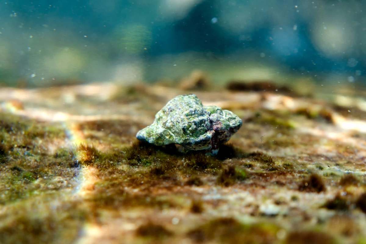 "Not just beautiful scenery. It is life itself."